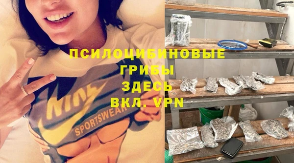 ешки Медвежьегорск