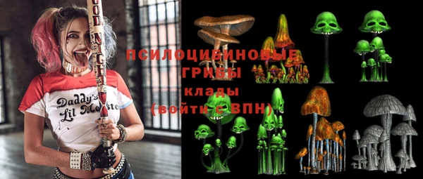 ешки Медвежьегорск
