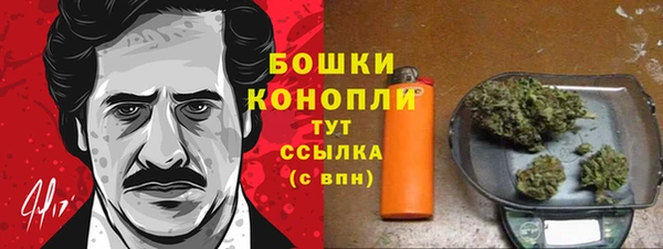 СК Медногорск